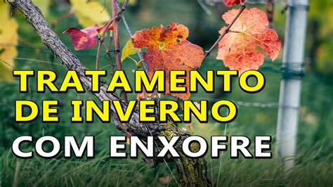 Tratamento De Inverno Para Videiras Enxofre Youtube