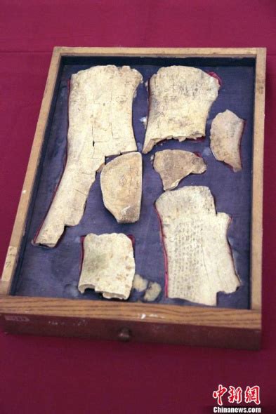 New Discoveries In Chinese Oracle Bones Headlines Features Photo