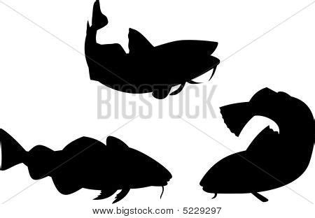 Cod Fish Silhouette Vector Photo Free Trial Bigstock