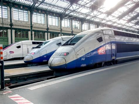 Fait divers le chat de la gare Montparnasse broyé par un train Public