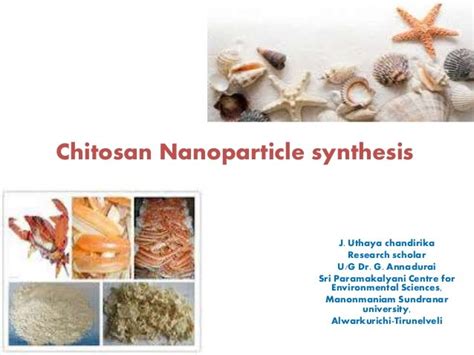 Chitosan nanoparticle synthesis