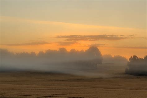 Misty Sunrise Over Cornfield Photograph By Aldona Pivoriene Pixels