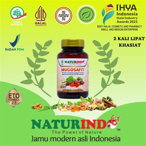 Obat Asam Lambung Dan Magh Gerd Herbal Mucosafit Naturindo Lazada