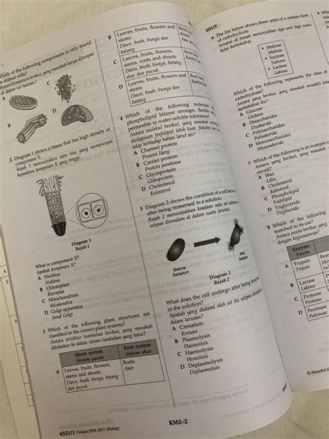 Biology Dwibahasa Kertas Model SPM Firasat ILMU BAKTI Hobbies Toys