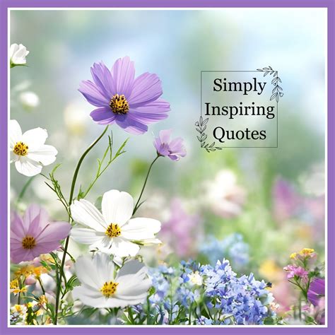 pontarelli marino funeral home providence 3