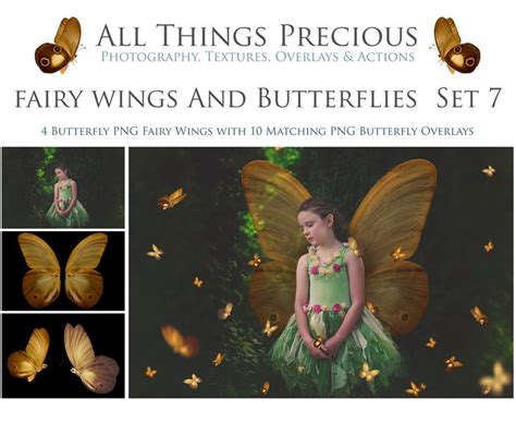 Overlays Fairy Wings Butterflies Set Photography Etsy Australia