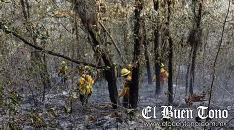 Incendio Arrasa Con Varias Hect Reas De Vegetaci N Se Asan En Mixtla