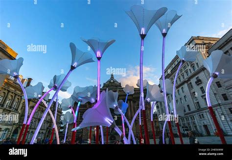 Liverpool Town Hall At Night With River Of Light Street Art Stock Photo