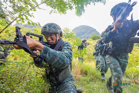 利剑出鞘！直击武警特战队员山地丛林捕歼演练 中国军网