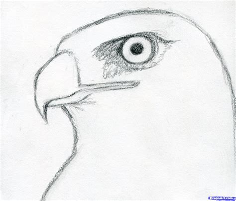 Easy Love Drawings Dark Art Drawings Bird Drawings Art Drawings