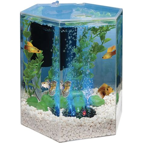 Tetra 1 Gallon Hexagon Led Aquarium Kit With Air Filter And Bubbler