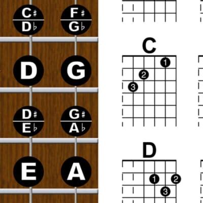 New Song Music Laminated Guitar Fretboard Chord Chart Reverb