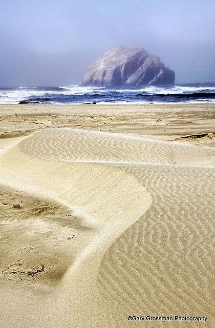 Bandon Dunes And Face Rock Visit Oregon Oregon Travel Oregon Coast