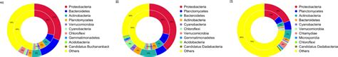 Frontiers Metagenomic Analysis Of Bacterial Communities And