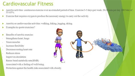 Cardiovascular Exercise Examples