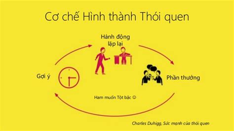 Review sách Sức mạnh của thói quen Đọc va áp dụng để phát triển và