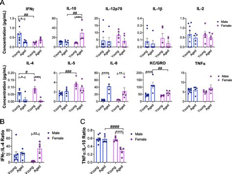 Sex And Agedependent Alterations Of Splenic Immune Cell Profile And