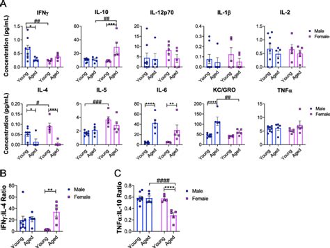 Sex And Age‐dependent Alterations Of Splenic Immune Cell Profile And