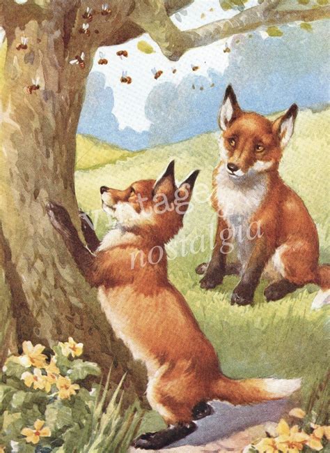 vintage Baby Fox vintage illustration fall by theStoryOfVintage