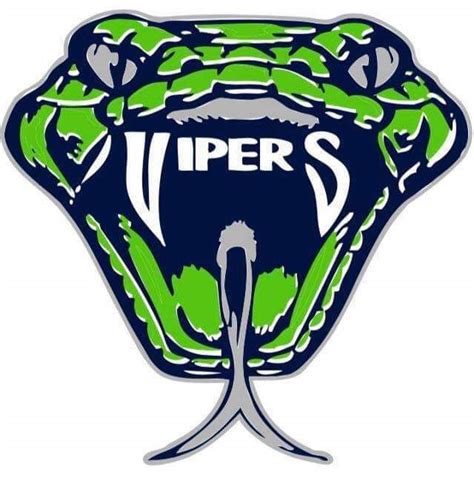 National Championship Sports Baseball VIPERS 9U D3