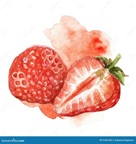 Watercolor Strawberry Illustration Stock Illustration Illustration Of