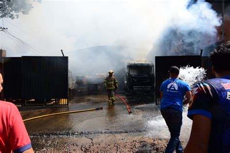 El Mayor Jardín Botánico De Chile Respira Malherido Tras Los Incendios Diario 24 Horas Yucatán