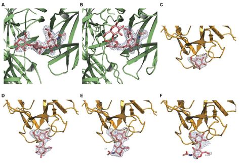 Figure S F O F C Omit Electron Density Maps Around The Bound