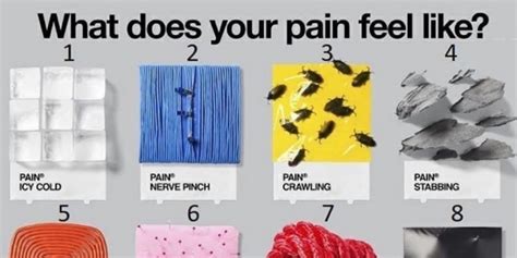 Chronic Pain Scale Chart