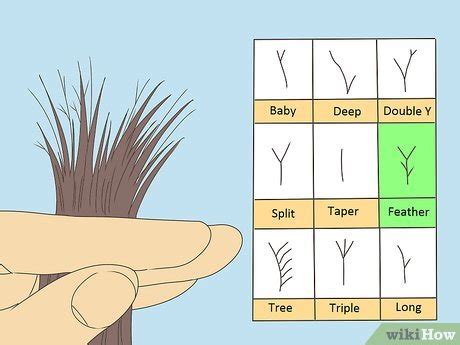 Tips Om Gespleten Haarpunten Te Voorkomen En Beheren