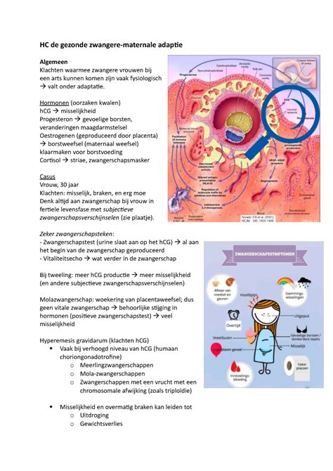 Hoorcollege Thema 2 De Gezonde Zwangere HC De Gezonde Zwangere