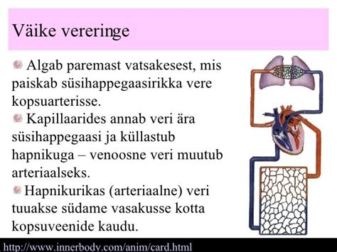 Vereringeelundkond