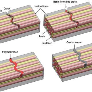 Schematic Illustration Of The Notion Of Self Healing Using Hollow