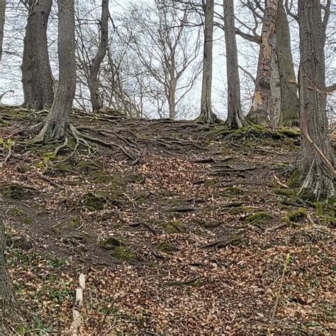 KANN HIER BITTE MAL JEMAND DEN WALD AM SEILERSEE AUFRÄUMEN Sieht ja aus