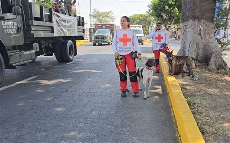 Desfile De Mayo Cuautla Binomios Caninos Participaron En Desfile