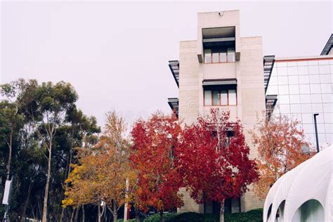 Beautiful Campus Landscape Of University Of California San Diego Ucs Stock Image Image Of