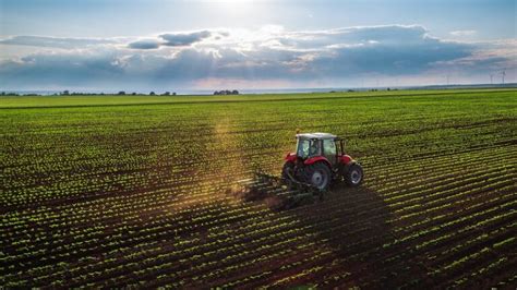 Lavorazioni Del Terreno Quali Sono E Che Attrezzature Utilizzare