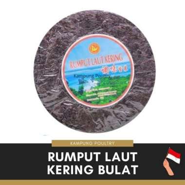 Jual Rumput Laut Kering Bulat Termurah Harga Grosir Terupdate Hari