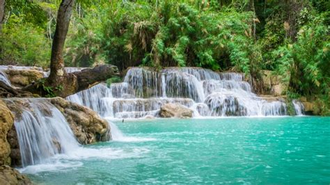 10 Best Waterfalls In Fiji Your Guide To The Most Breathtaking