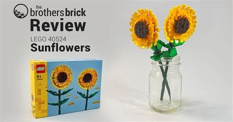 LEGO 40524 Sunflowers TBB Review 2AVTP Cover Social Cover The