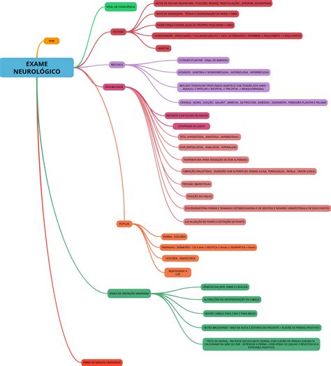 Mapa Mental Exame Fisico Neurologico Hotsell Fast Lisa Unibo It