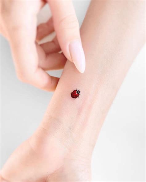 20 Ladybug Tattoo Ideas for Women - Mom's Got the Stuff