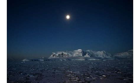 In Antarctica, tourists swim among penguins