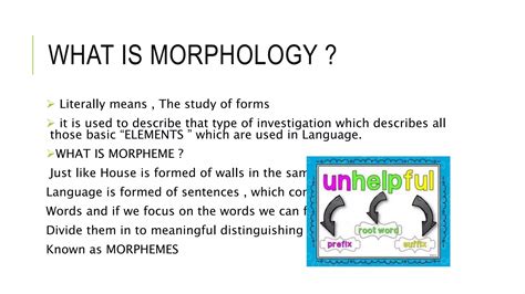 English Vocabulary And Basic Grammar Teaching By Morphology Ppt