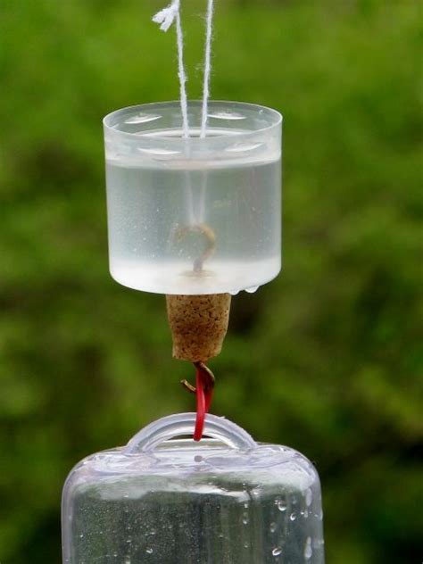 Ants In Hummingbird Feeder - Home Gallery