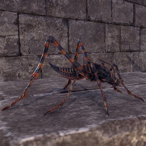 Online Amber Ash Hopper The Unofficial Elder Scrolls Pages UESP