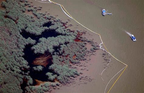 Daño ambiental provocado por este Derrame de petróleo luego de las