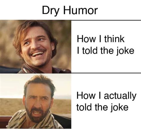 Dry humor mixed with sarcasm is the ultimate joke : r/memes