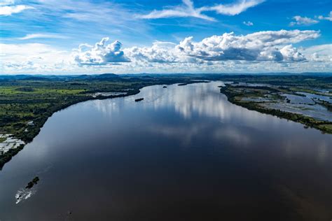 Pará Festeja Mês Do Meio Ambiente Com Manutenção Da Redução Do