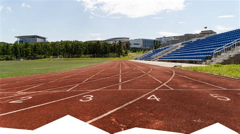 Физкультура