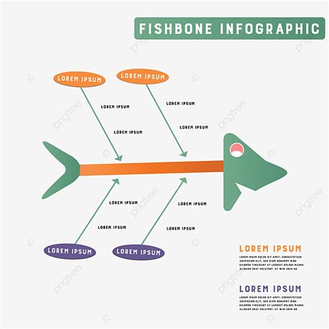 Diseño De Vector Libre De Infografía De Espina De Pescado PNG